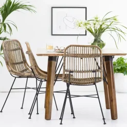 Chaise<Made in Meubles Chaise en rotin et métal Rattan (lot de 2)