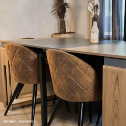 Chaise<Made in Meubles Chaise marron chocolat Jasmine (lot de 2)