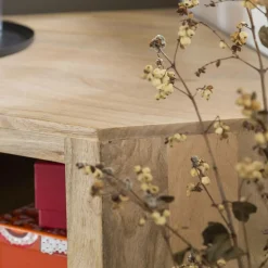 Meuble Tv<Made in Meubles Meuble TV en bois de manguier Lyam