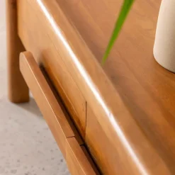 Meuble Tv<Made in Meubles Meuble TV en bois de manguier Féodor