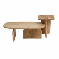 Table Basse<Made in Meubles Set de 2 tables basses en bois de manguier Tom