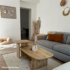 Table Basse<Made in Meubles Set de 2 tables basses en bois de manguier Tom